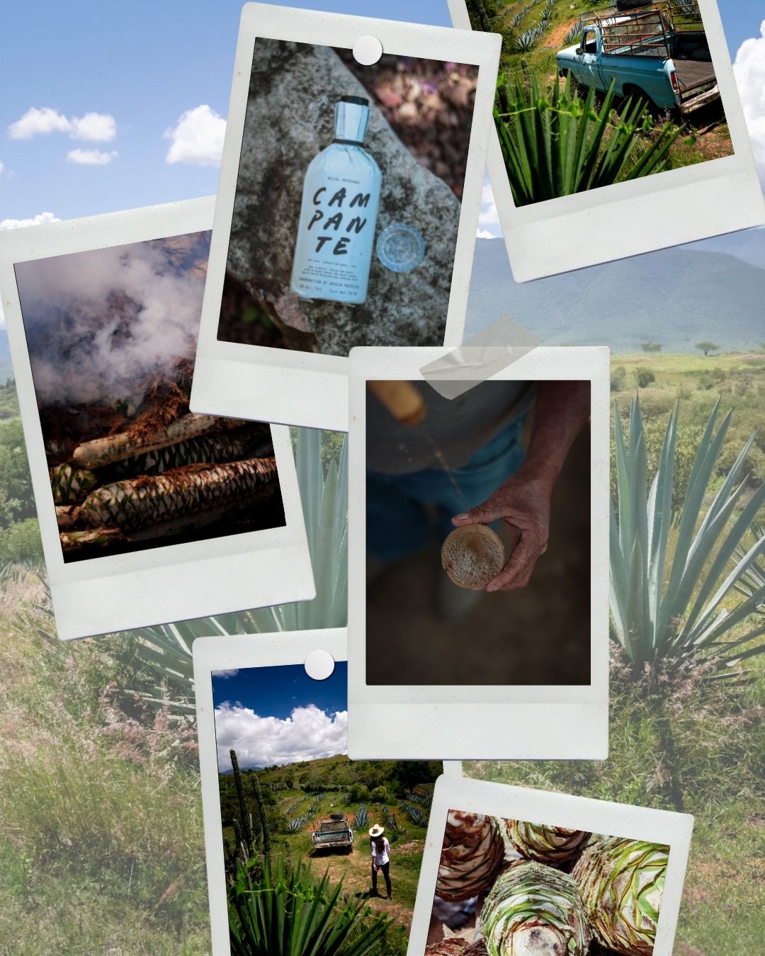 Mezcal Campante 750ml Bottle